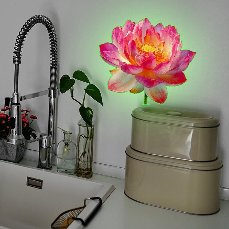 Glow In The Dark Toilet Sticke - đánh giá và giá Jet Home Bathroom