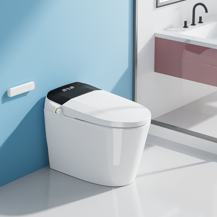 Home Decoration Bathroom Smart - đánh giá và giá Home Bathroom Toilet