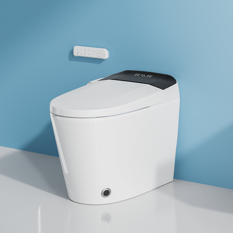 Home Decoration Bathroom Smart - đánh giá và giá Home Bathroom Toilet