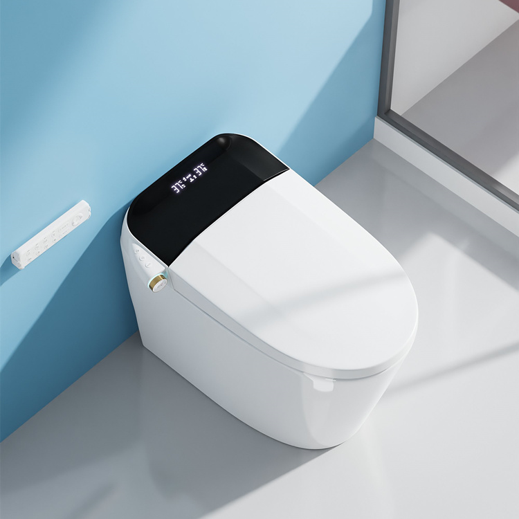 Home Decoration Bathroom Smart - đánh giá và giá Home Bathroom Toilet