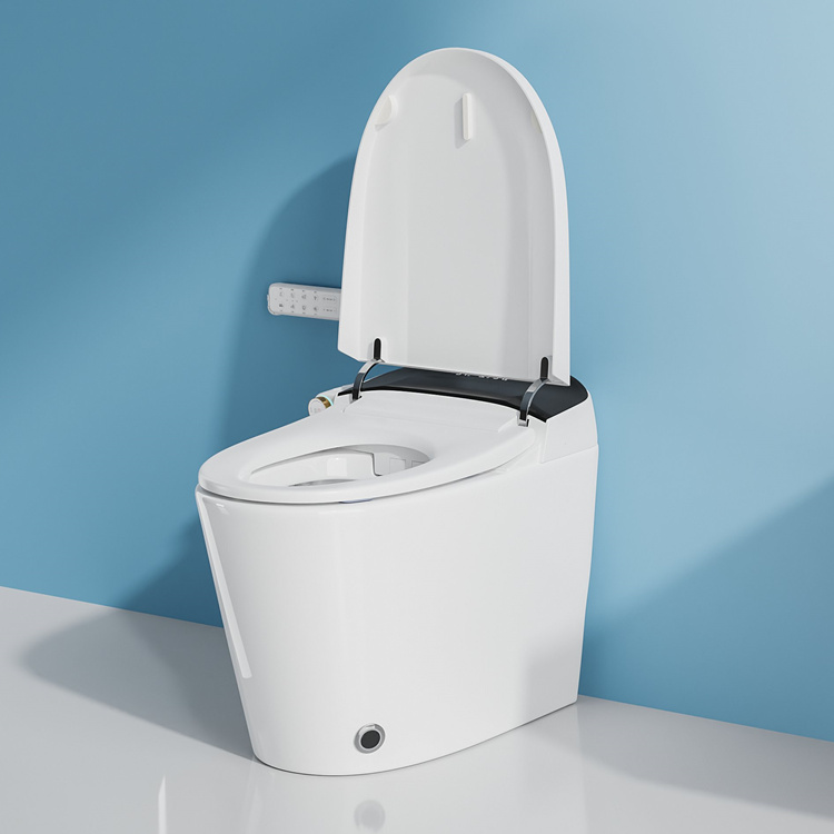 Home Decoration Bathroom Smart - đánh giá và giá Home Bathroom Toilet