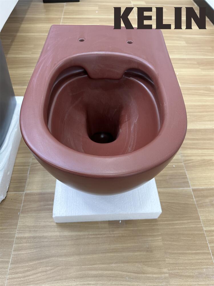 KELIN New Modern Style Washdow - đánh giá và giá Home Bathroom Toilet
