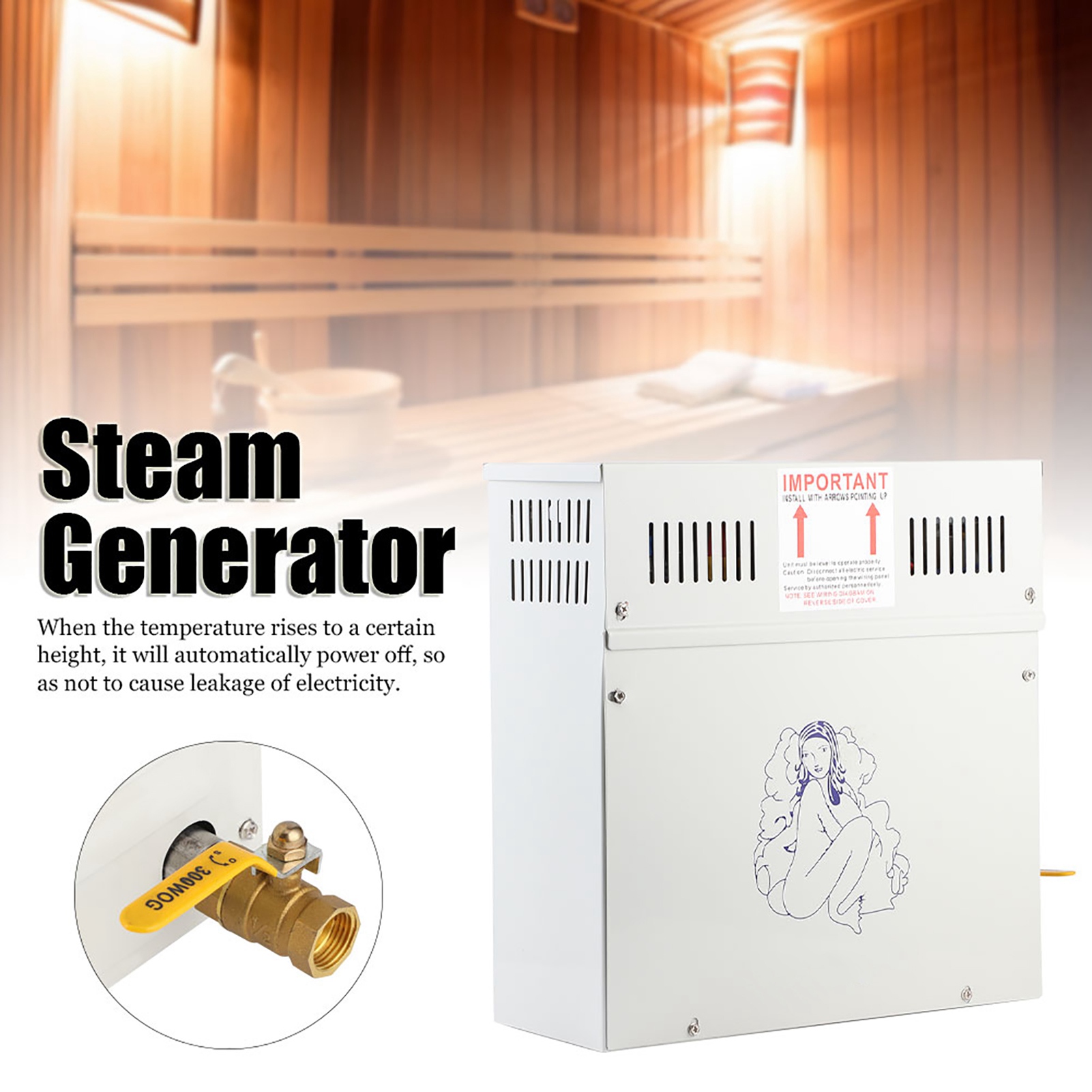 4.5KW 220V Steam Generator Sho - đánh giá và giá Home Bathroom Spa